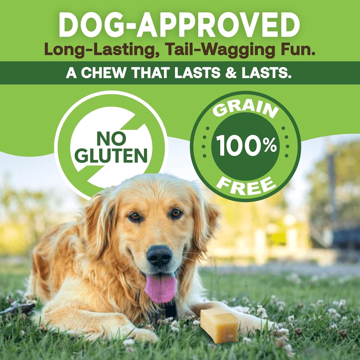 EcoKind Gold Yak Dog Chews Grade A Quality 100% Natural, Healthy & Safe - 3 POUND BAG